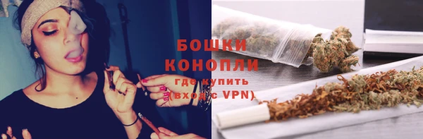 Альфа ПВП Пересвет