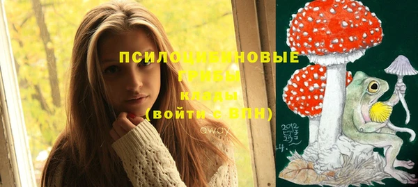 индика Аркадак