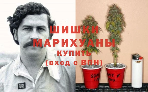 MESCALINE Алзамай