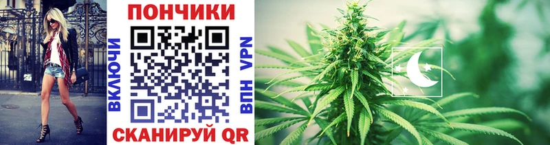 MEGA сайт  Таштагол  Канабис план 
